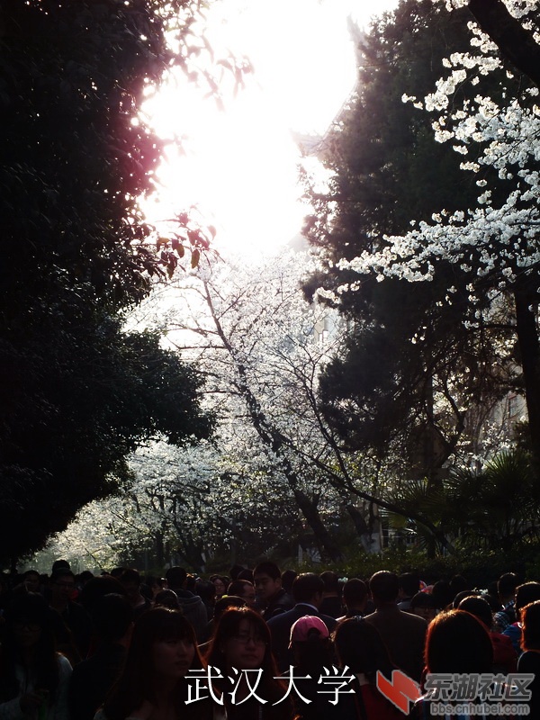 DSCF3529_缩小大小_exposure.JPG