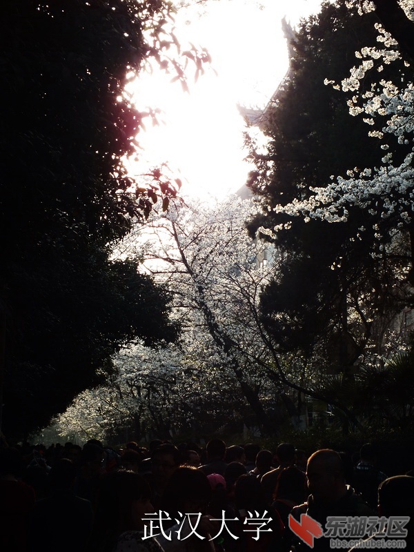 DSCF3530_缩小大小_exposure.JPG