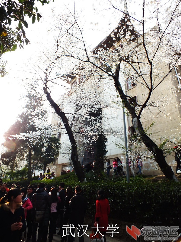 DSCF3533_缩小大小_exposure.JPG