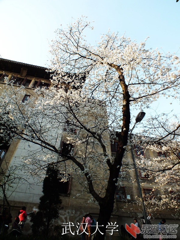 DSCF3546_缩小大小_exposure.JPG