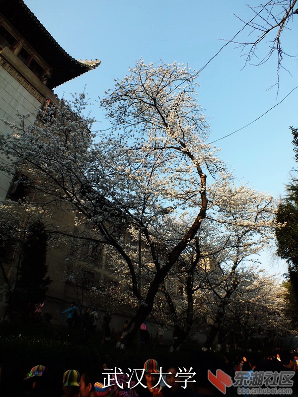 DSCF3550_缩小大小_exposure.JPG