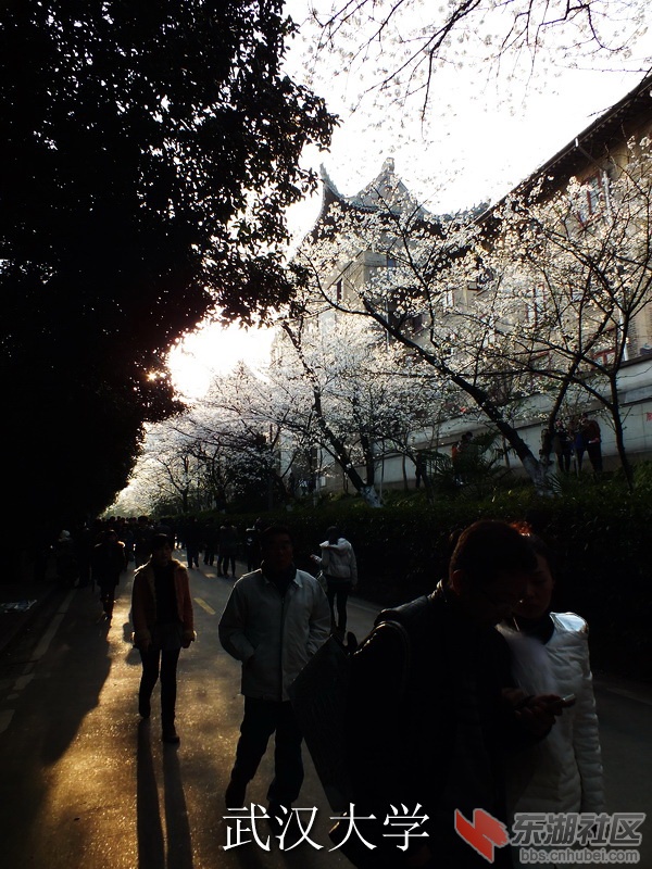 DSCF3574_缩小大小_exposure.JPG