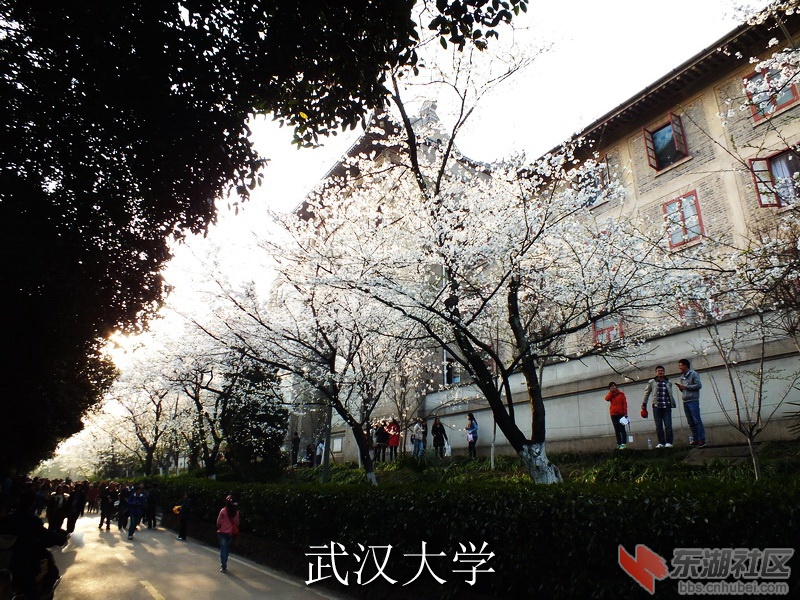 DSCF3583_缩小大小_exposure.JPG