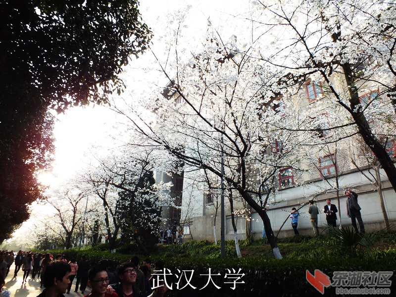 DSCF3590_缩小大小_exposure.JPG
