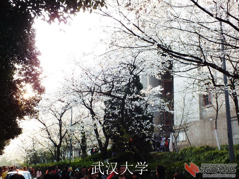 DSCF3594_缩小大小_exposure.JPG