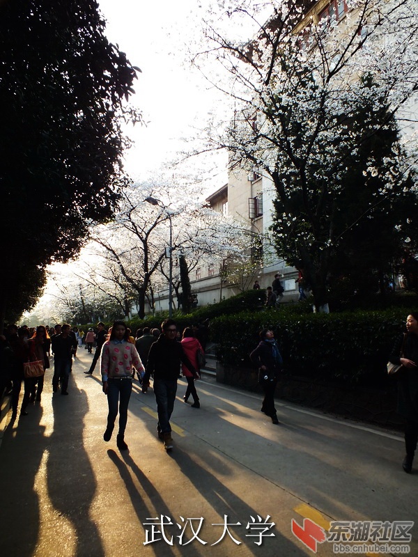 DSCF3595_缩小大小_exposure.JPG