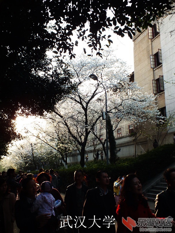 DSCF3602_缩小大小_exposure.JPG