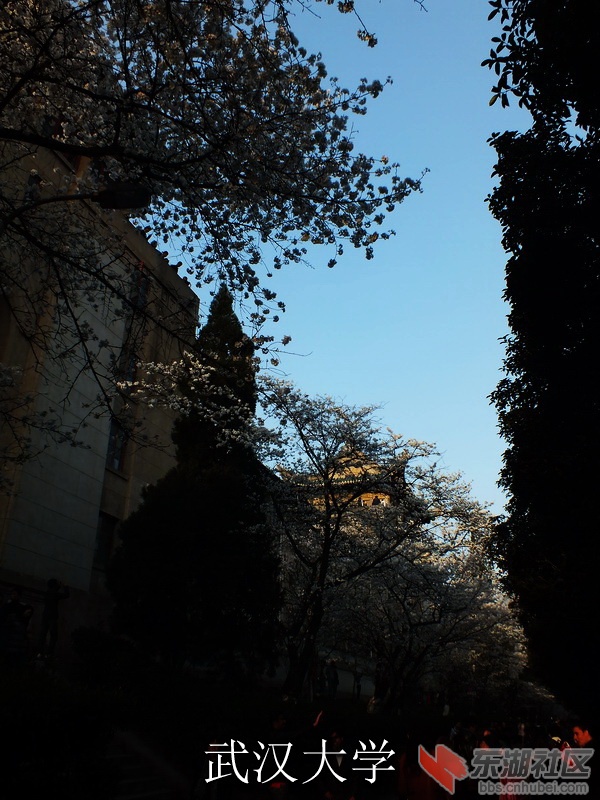DSCF3615_缩小大小_exposure.JPG