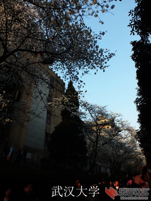 DSCF3617_缩小大小_exposure.JPG