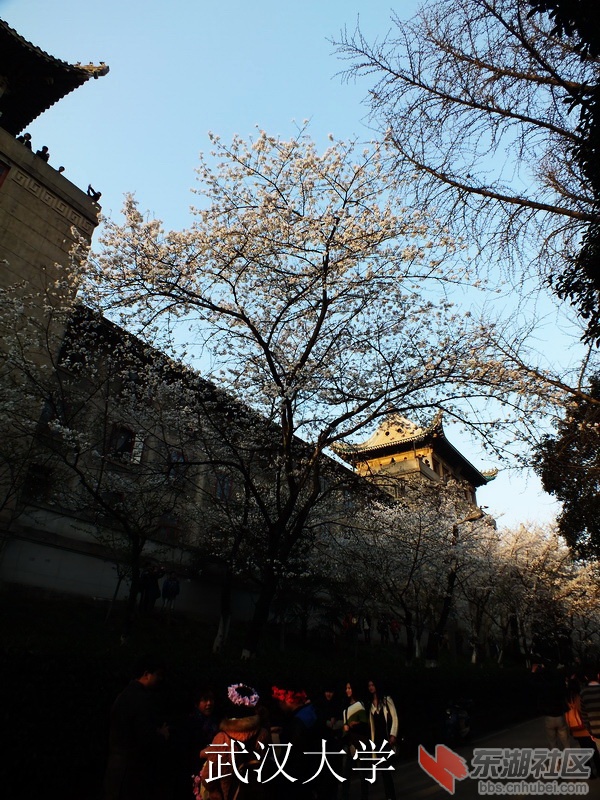 DSCF3628_缩小大小_exposure.JPG