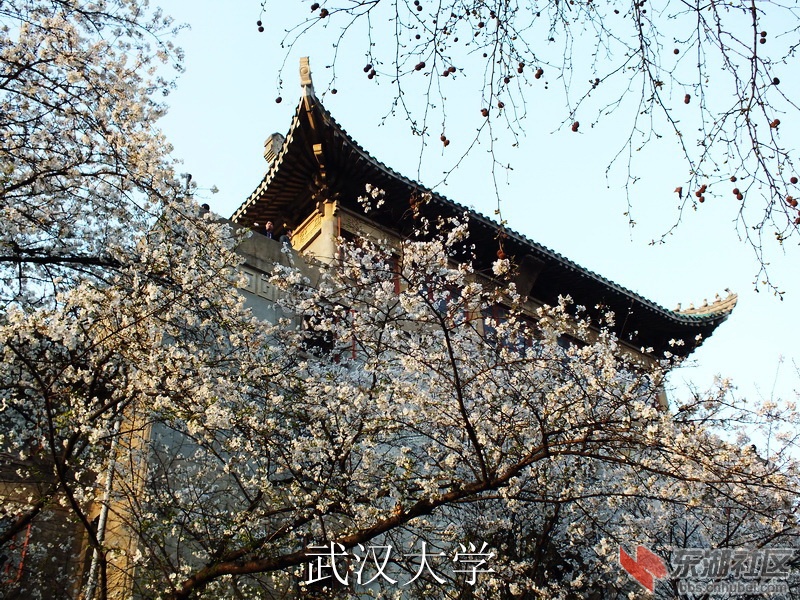 DSCF3642_缩小大小_exposure.JPG