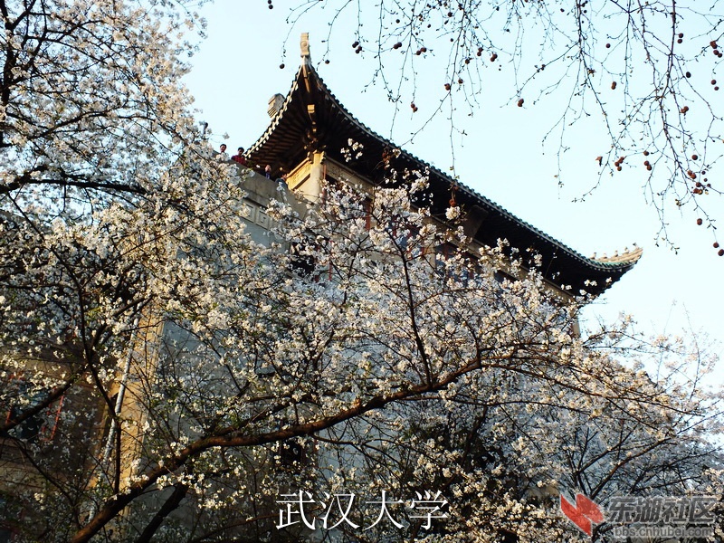 DSCF3643_缩小大小_exposure.JPG