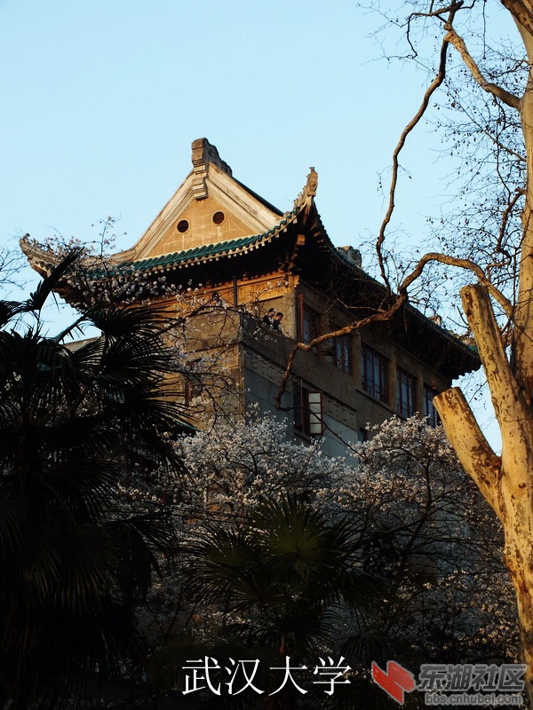 DSCF3665_缩小大小_exposure.JPG