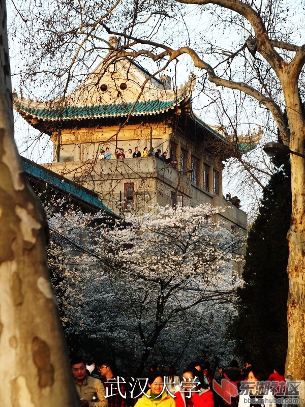 DSCF3674_缩小大小_exposure.JPG