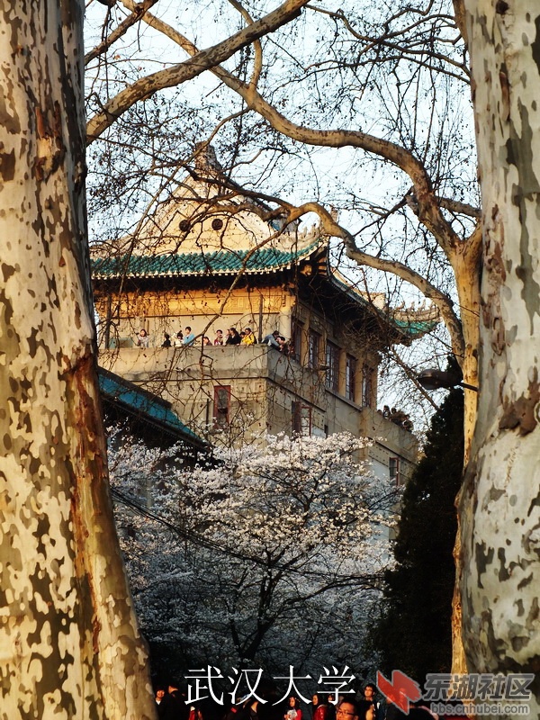 DSCF3678_缩小大小_exposure.JPG