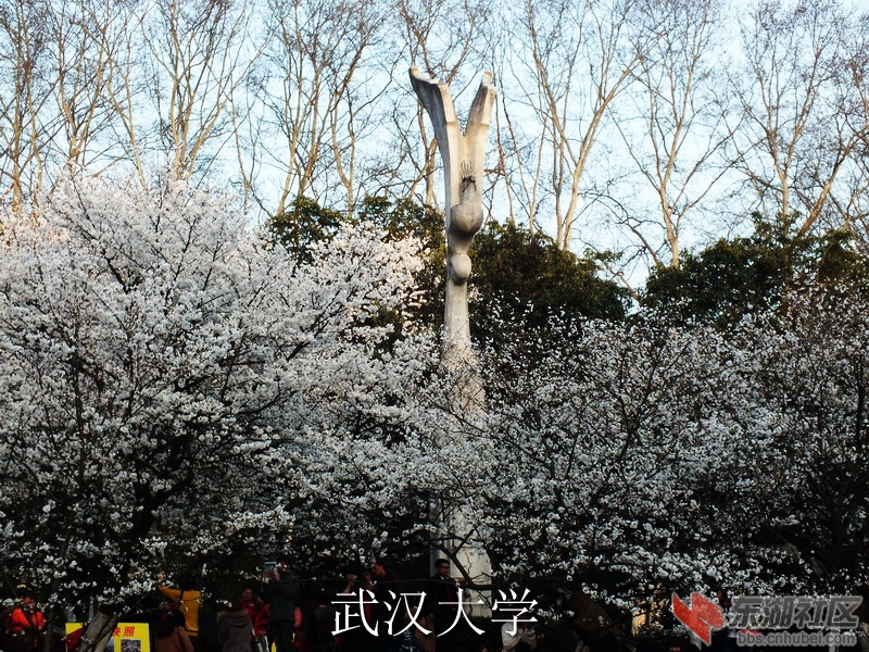 DSCF3689_缩小大小_exposure.JPG