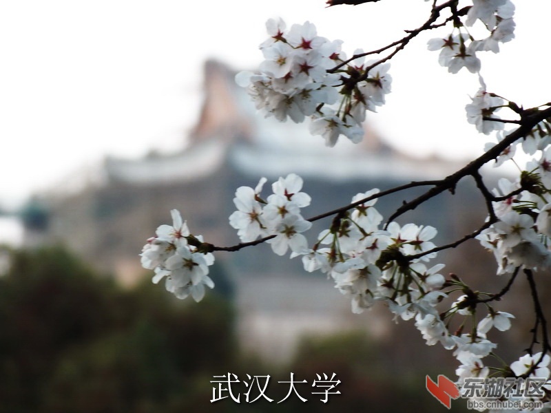 DSCF3737_缩小大小_exposure.JPG