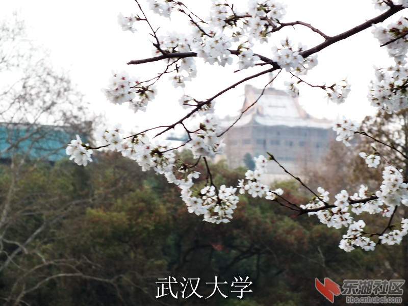 DSCF3738_缩小大小_exposure.JPG