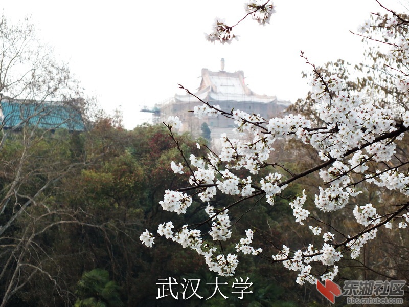 DSCF3739_缩小大小_exposure.JPG