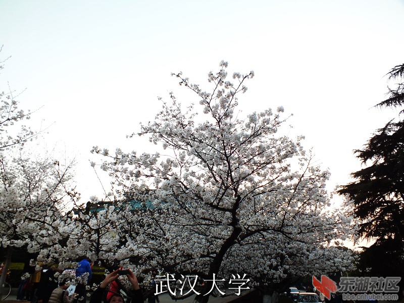DSCF3769_缩小大小_exposure.JPG