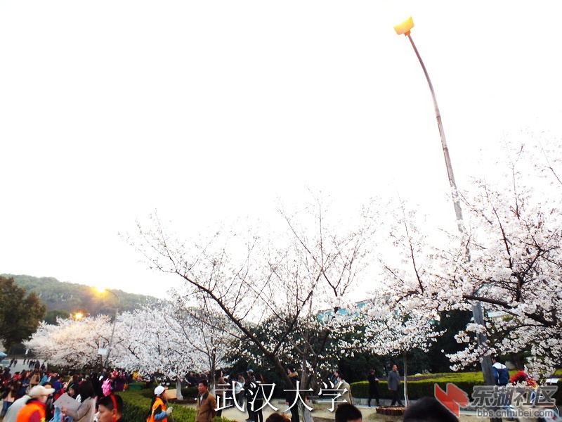 DSCF3770_缩小大小_exposure.JPG