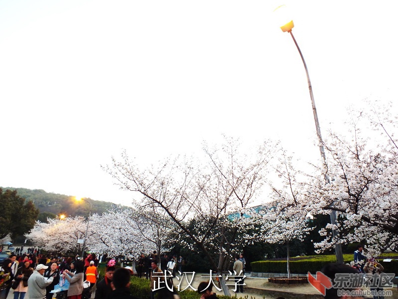 DSCF3771_缩小大小_exposure.JPG