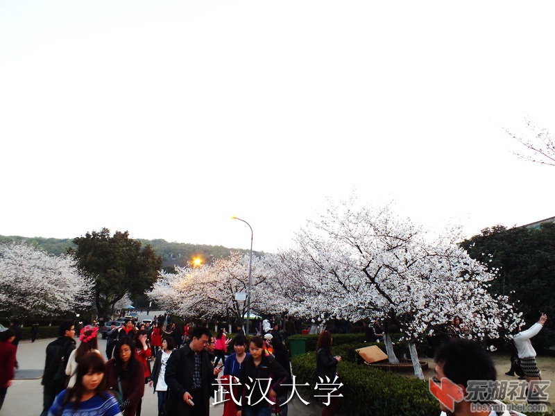 DSCF3773_缩小大小_exposure.JPG