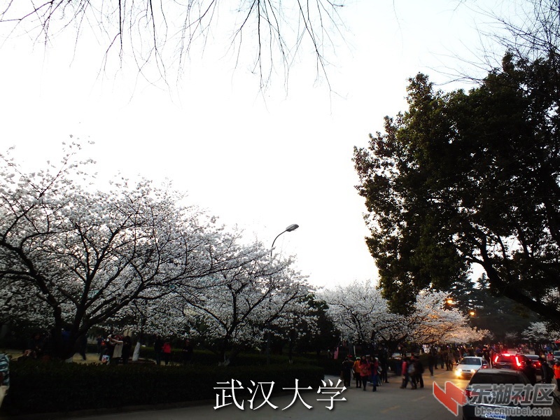DSCF3787_缩小大小_exposure.JPG