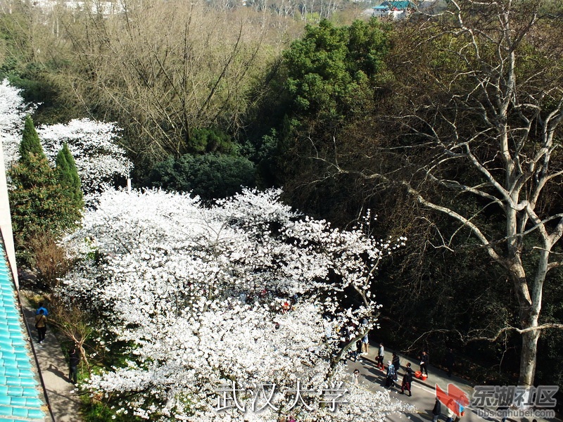 S0013073_缩小大小_exposure.JPG