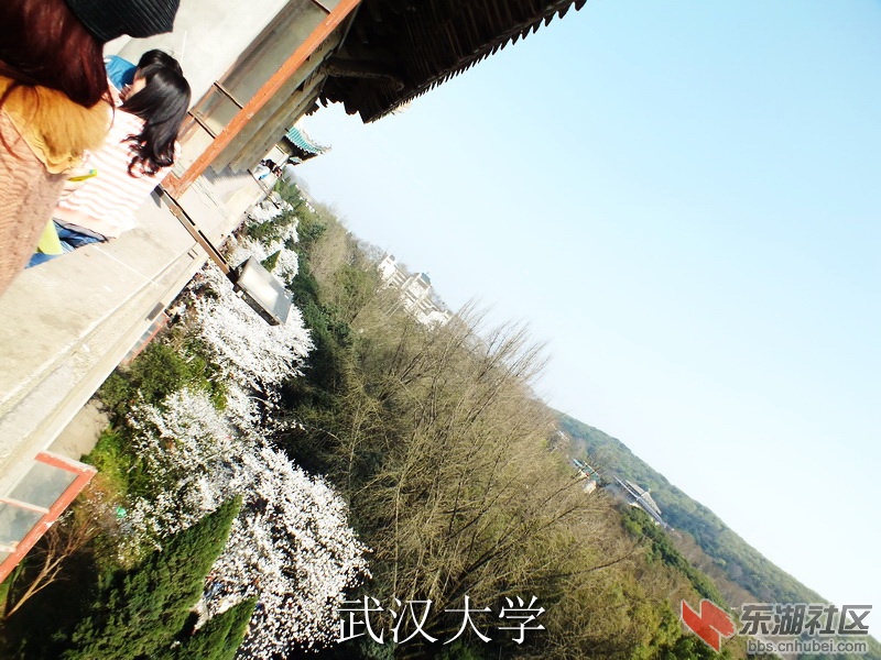 S0043098_缩小大小_exposure.JPG
