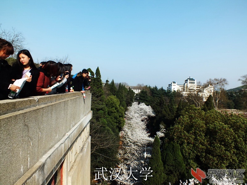 S0063196_缩小大小_exposure.JPG