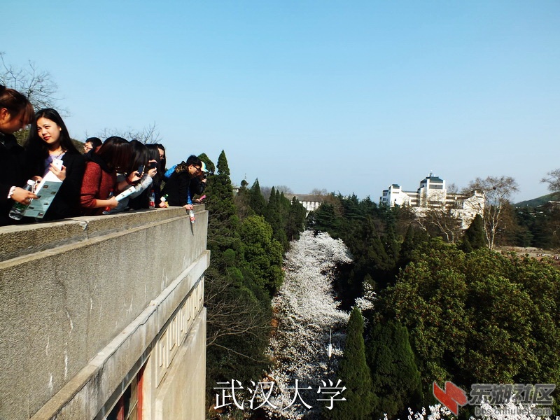 S0063197_缩小大小_exposure.JPG