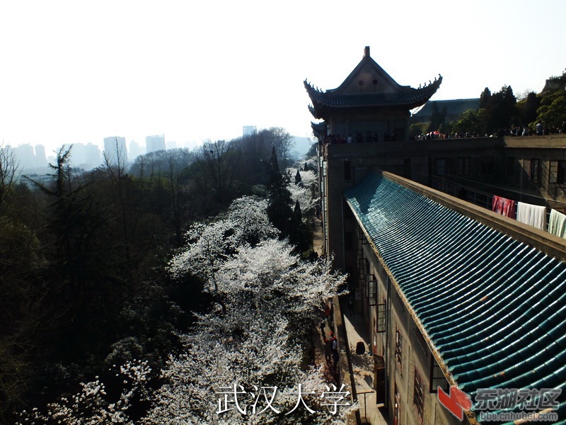 S0103223_缩小大小_exposure.JPG