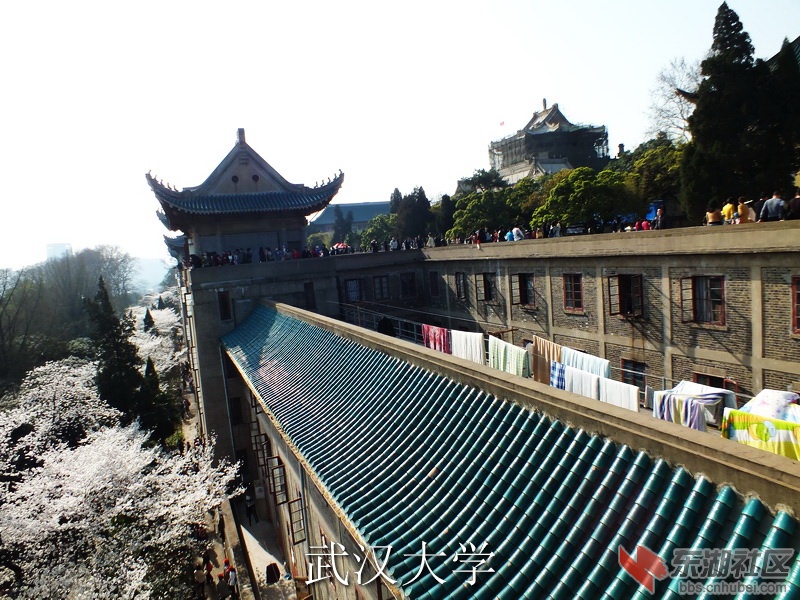 S0113231_缩小大小_exposure.JPG