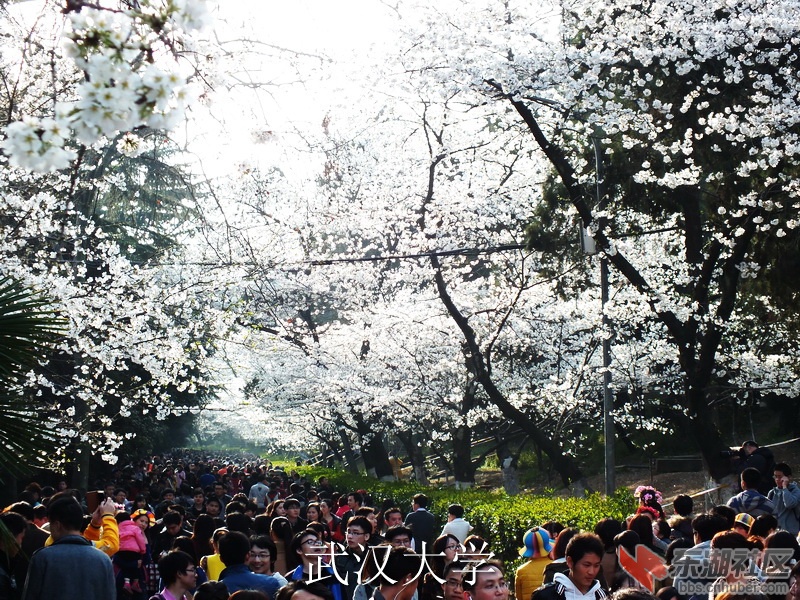 S0133360_缩小大小_exposure.JPG