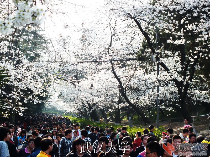 S0143365_缩小大小_exposure.JPG