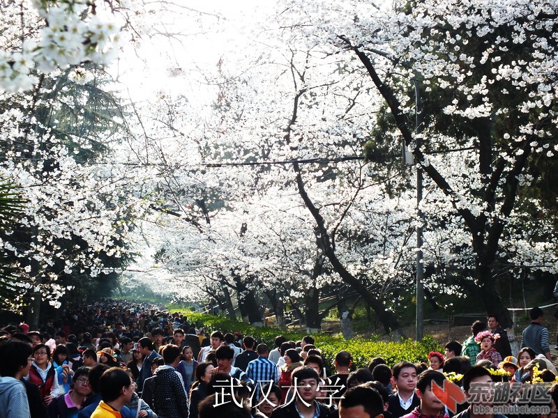 S0143371_缩小大小_exposure.JPG