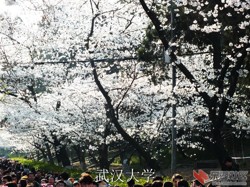 S0153375_缩小大小_exposure.JPG