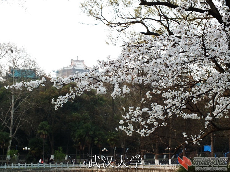 S0243741_缩小大小_exposure.JPG