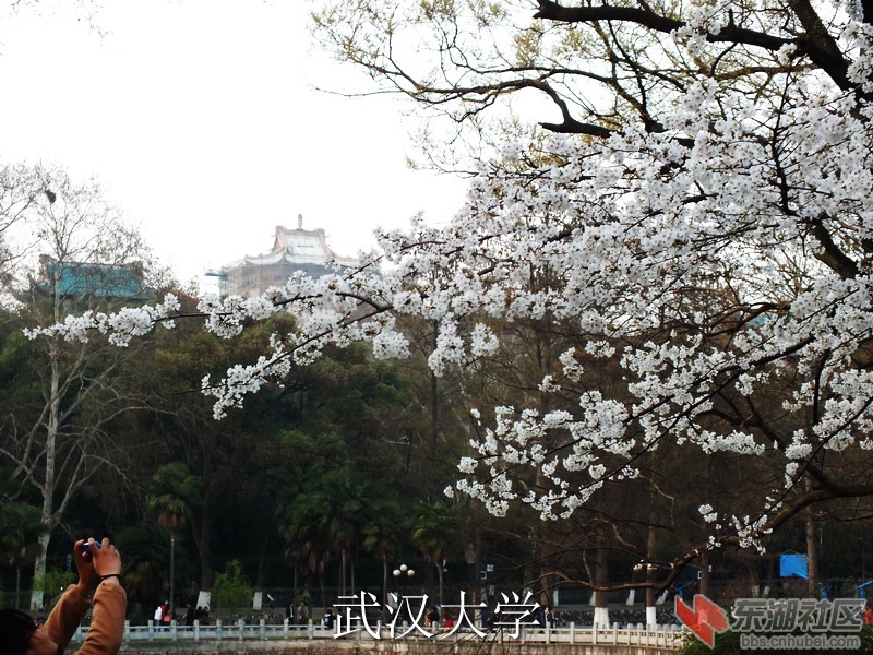 S0243747_缩小大小_exposure.JPG