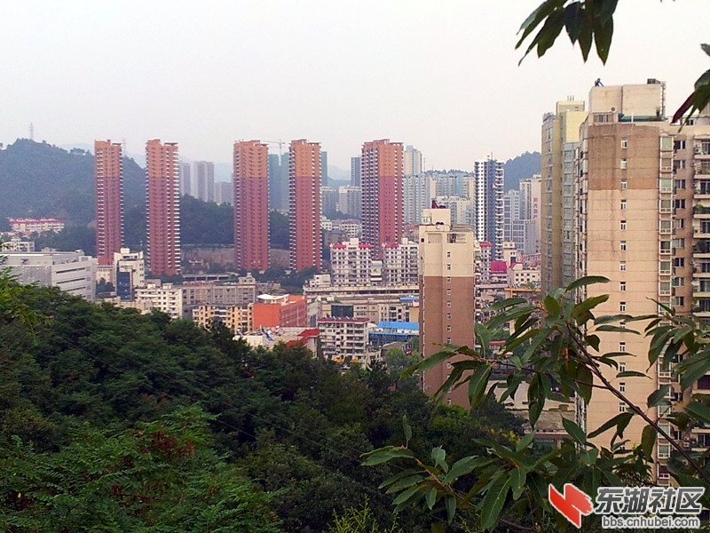 0401204z5el2xql933b453.jpg