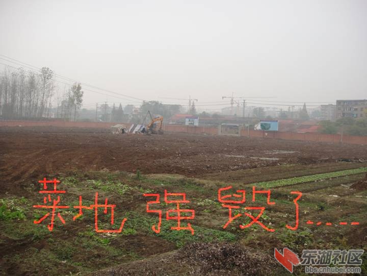 强行毁地1.jpg