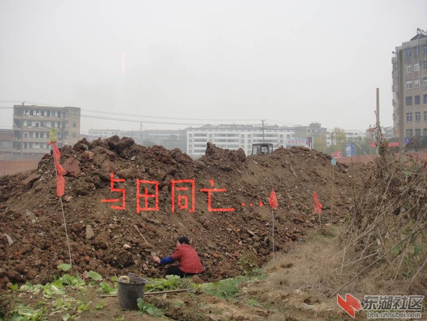 阻止1。。。.jpg