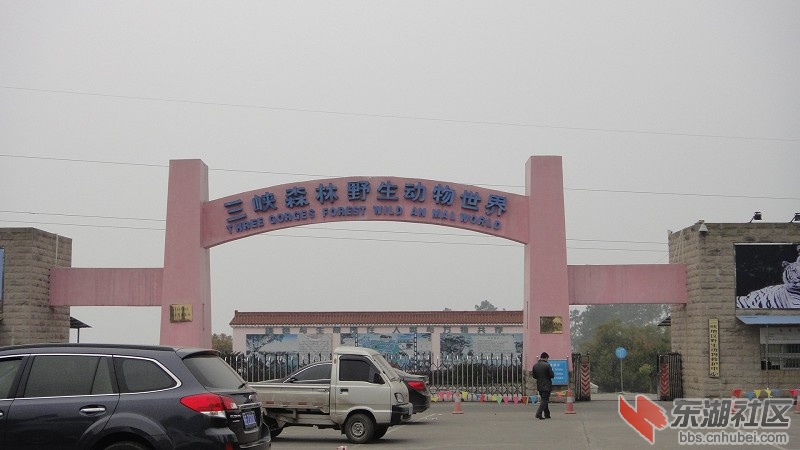 87.jpg