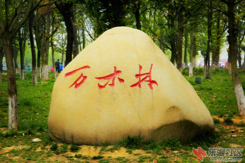 花开职院 春满车城10.jpg