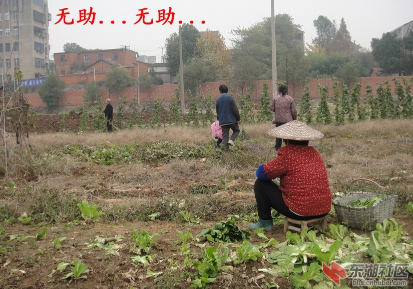 无助.JPG