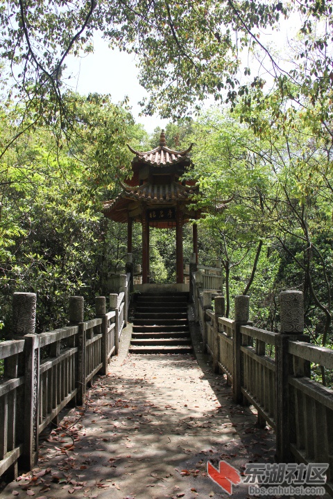 2013.4.4 168.jpg