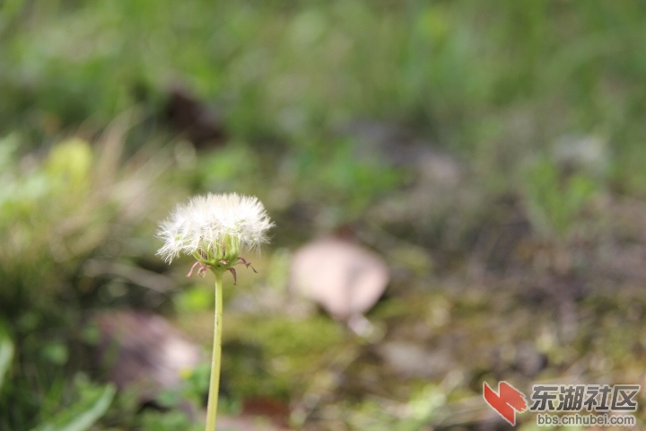 2013.4.4 246.jpg