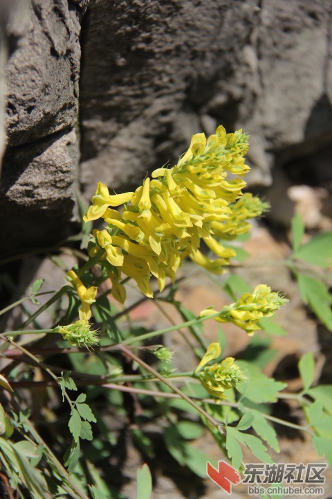 2013.4.4 243.jpg
