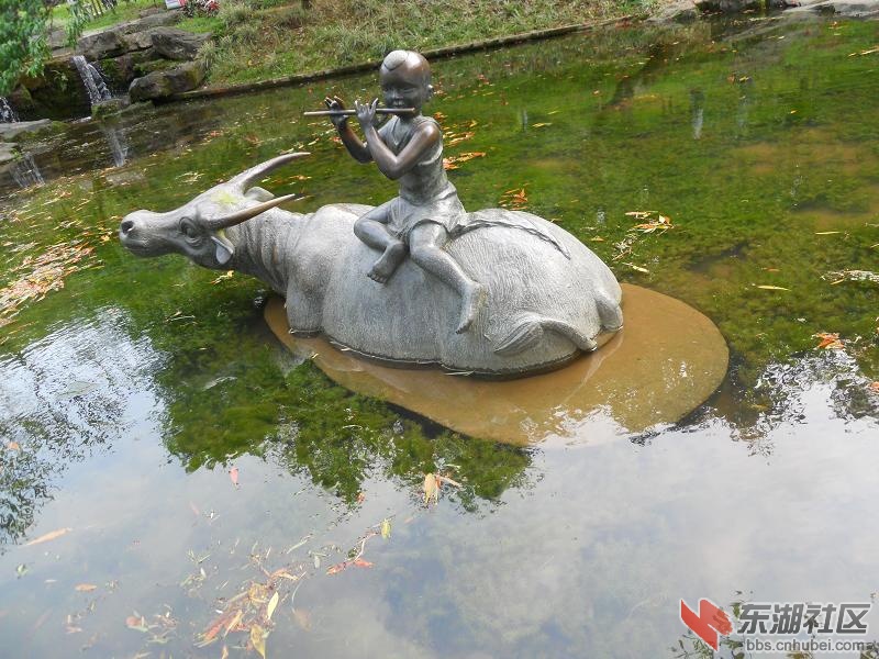 DSCN2208.JPG